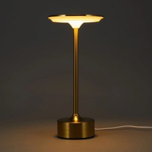 Robbins Portable Rechargeable Gold Lamp – Touch-Controlled LED